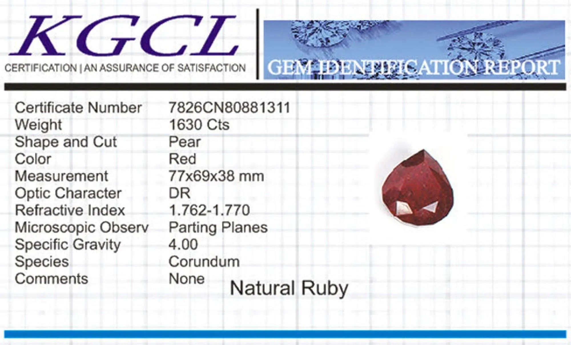 Magnificent Huge Museum Size 1630 Ct Certified Red Ruby Solitaire Coin Hub