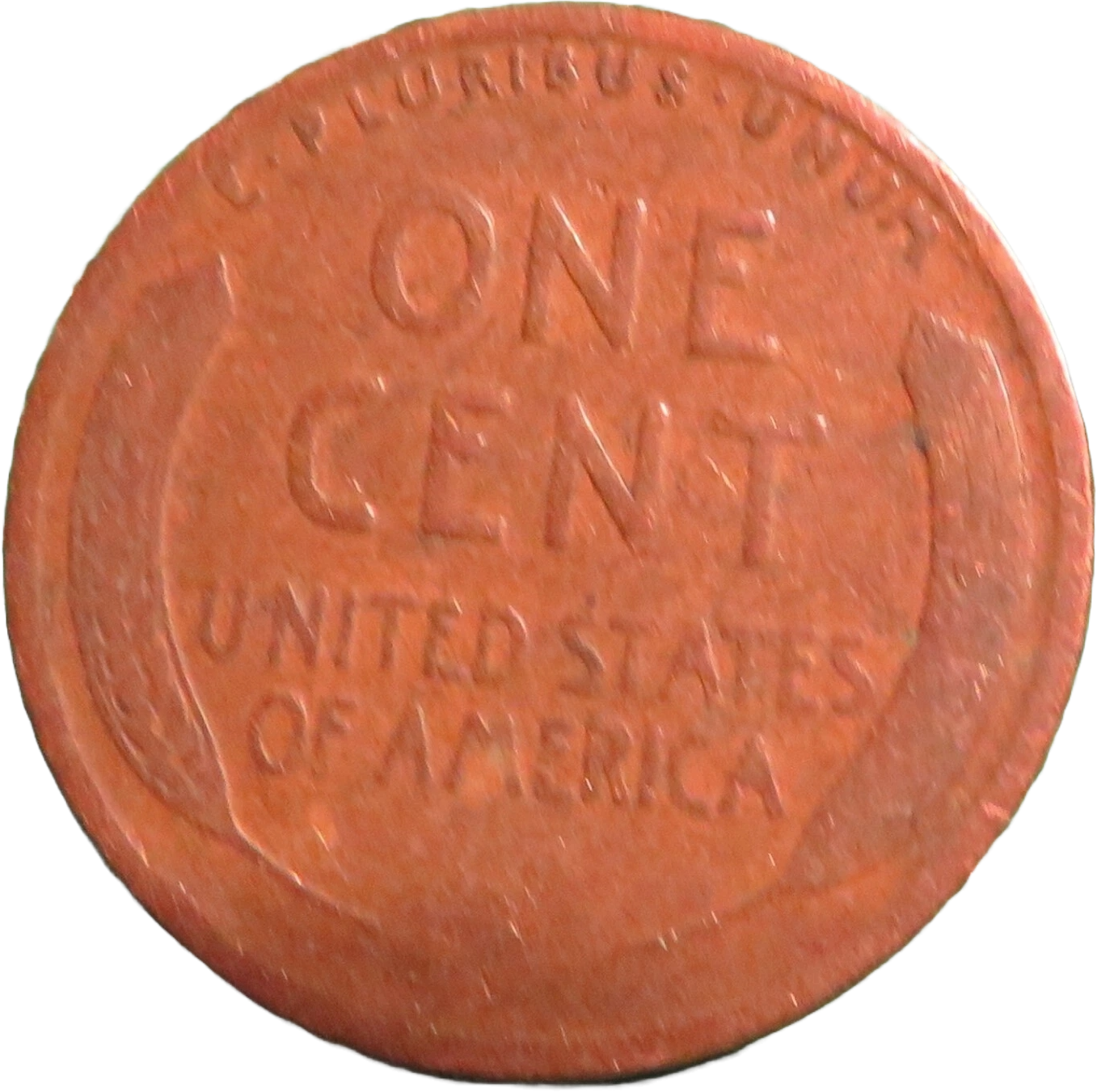 Rare 1919 Wheat Cent U.S. Coin Penny No Mint Mark Currency Coin L Rim Error Circ
