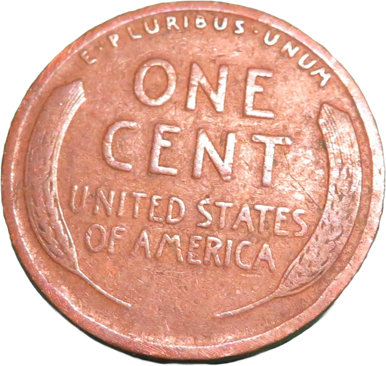 Rare 1919 Wheat Cent U.S. Coin Penny No Mint Mark Currency Coin L Rim Error Circ