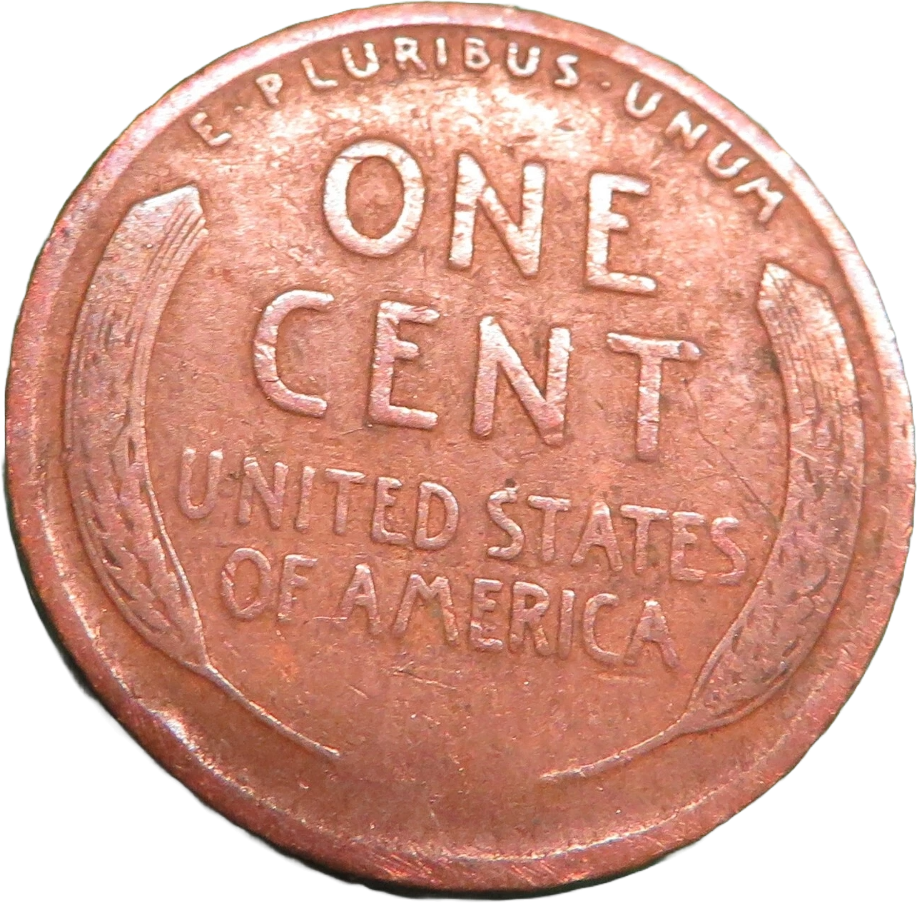 Rare 1919 Wheat Cent U.S. Coin Penny No Mint Mark Currency Coin L Rim Error Circ