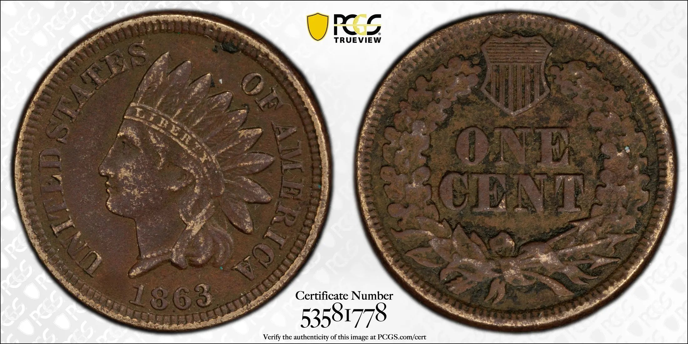 1863 Indian Head Cent – PCGS Genuine XF Details (Environmental Damage) – Civil War Era Coin Heritage Pastime