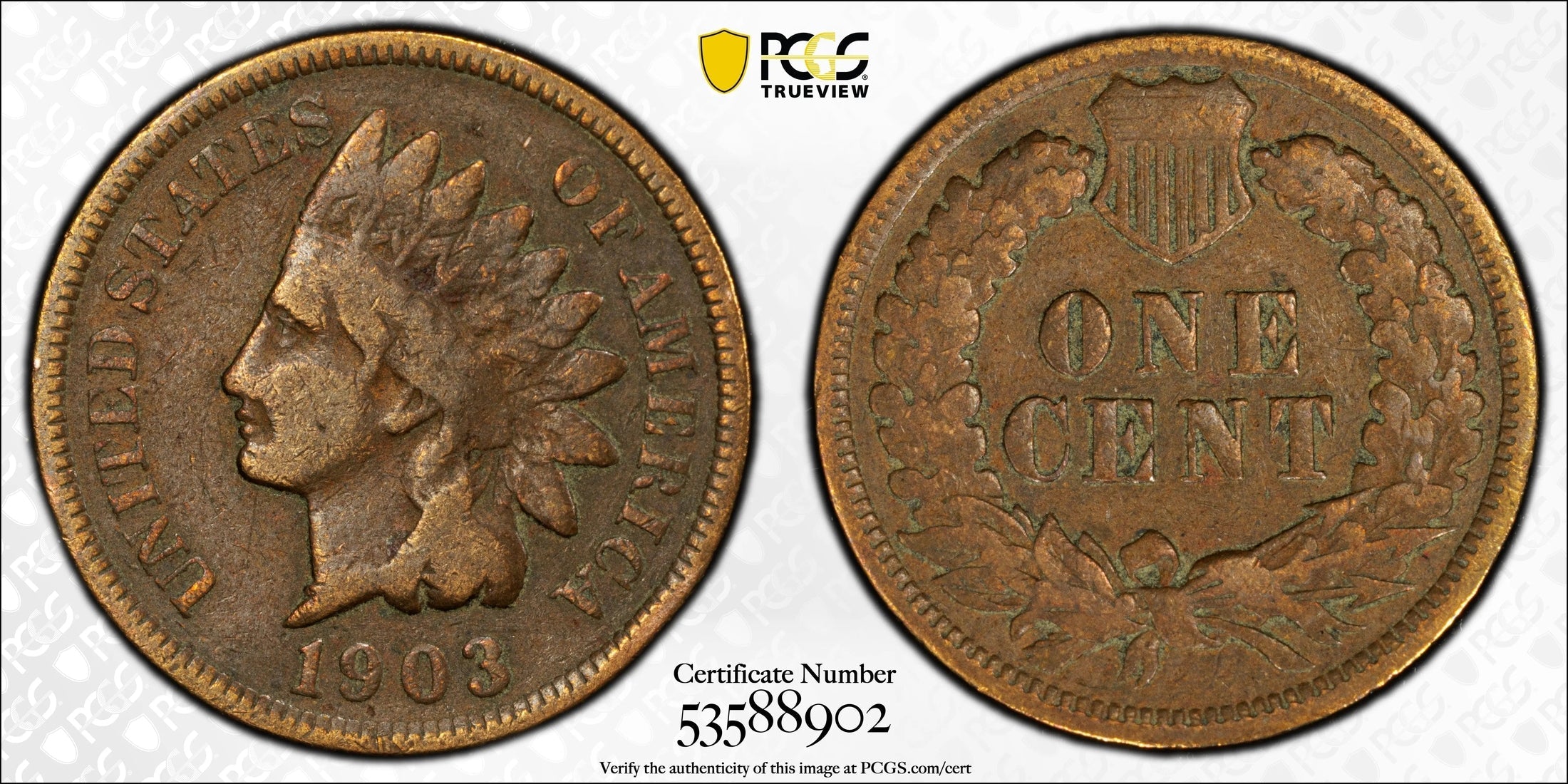 1903 Indian Head Cent – PCGS VG08 BN | Classic Pre-1900s U.S. Copper Coin Heritage Pastime