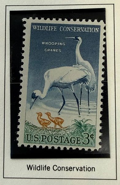 1957 U.S. 3¢ Whooping Crane Stamp – Wildlife Conservation Series Vintage Collectible Heritage Pastime