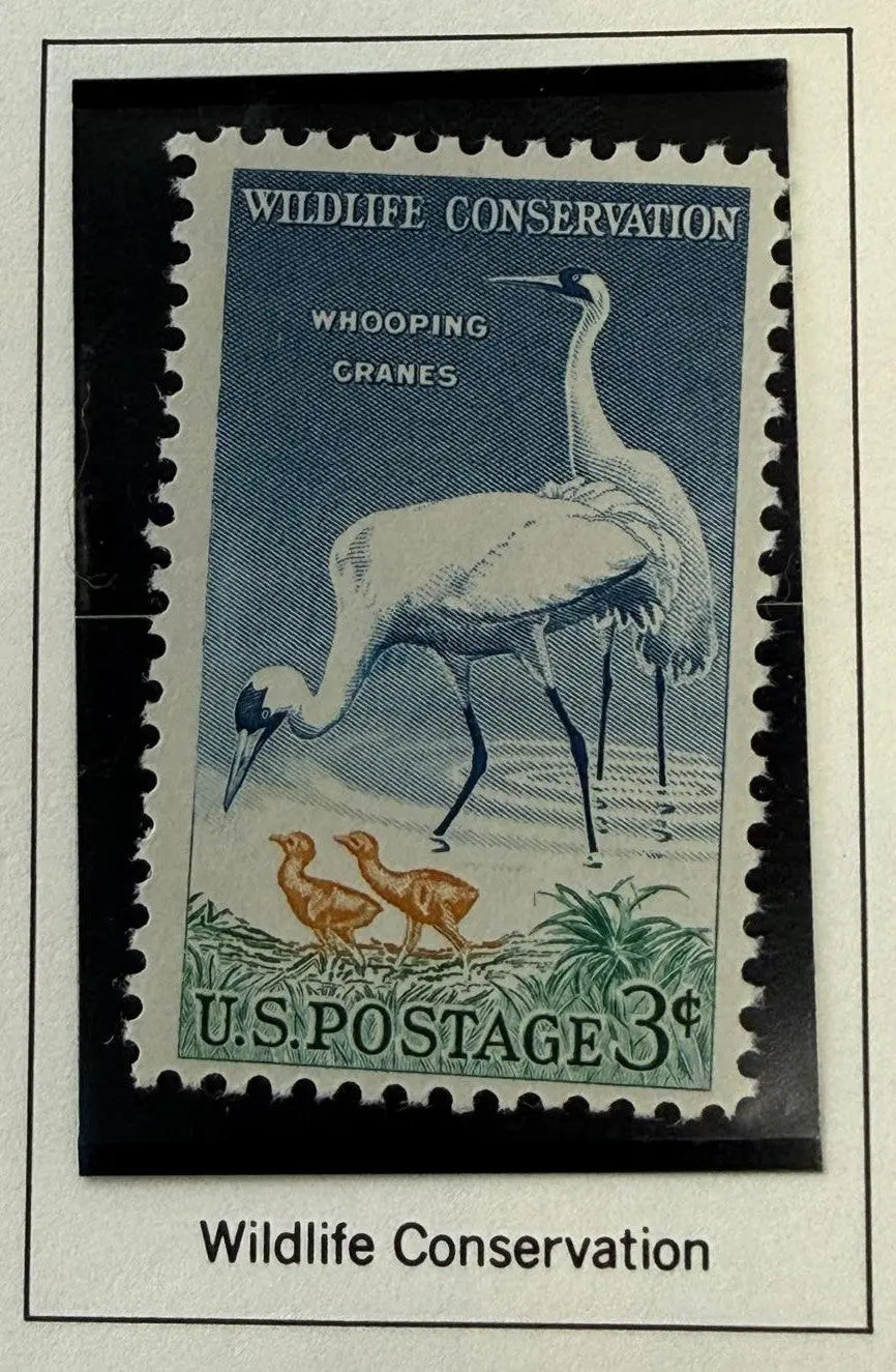 1957 U.S. 3¢ Whooping Crane Stamp – Wildlife Conservation Series Vintage Collectible Heritage Pastime