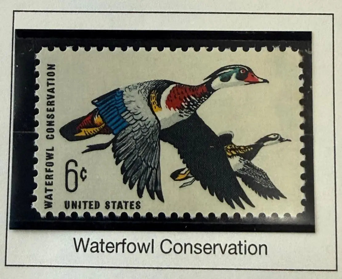 1968 United States 6¢ “Waterfowl Conservation” Commemorative Stamp – Scott #1361 | Wildlife Preservation Issue Heritage Pastime