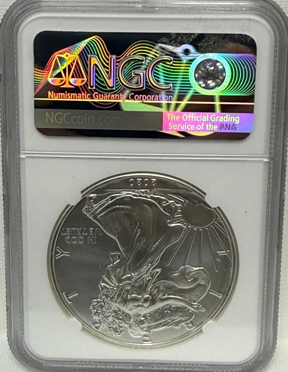 2020 Silver Eagle $1 Mint Error UNC Details – Spot Removals & Reverse Struck-Thru Heritage Pastime