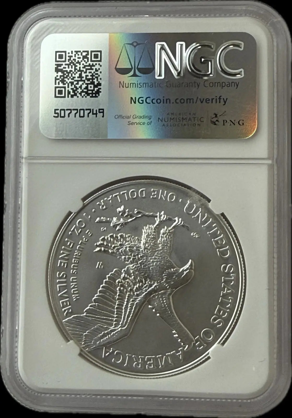 2025-W Burnished American Silver Eagle $1 – Advance Releases – MS70 Coin Hub