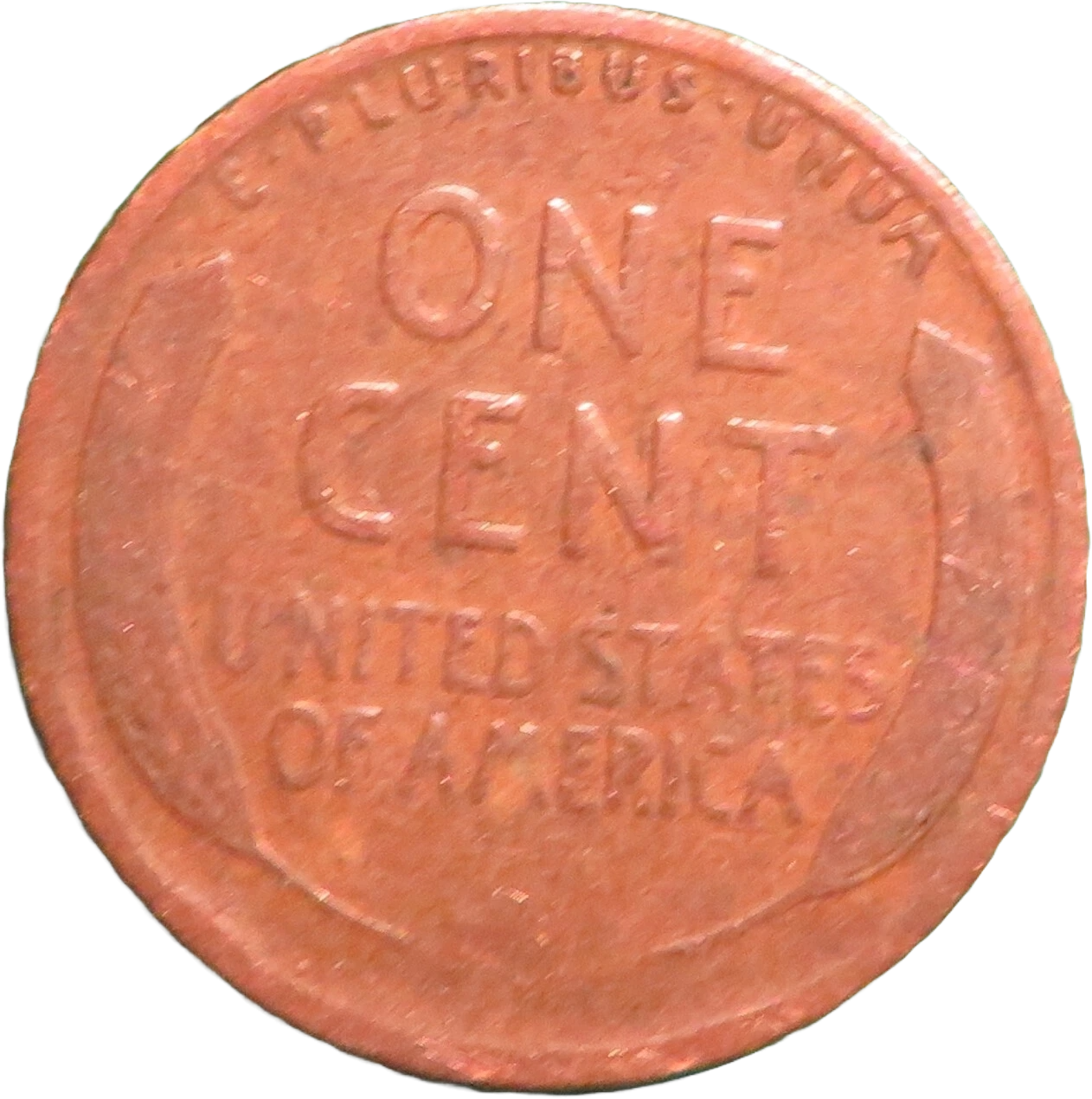 Rare 1919 Wheat Cent U.S. Coin Penny No Mint Mark Currency Coin L Rim Error Circ