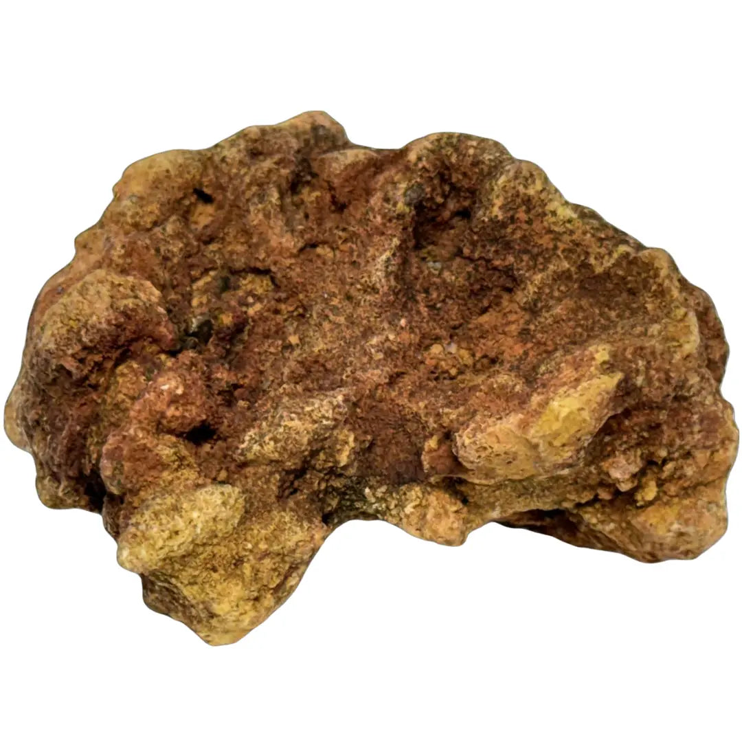 Specimen of richellite, a rare calcium, iron phosphate mineral. It is also identified as a fossilized coprolite (dung), possibly from a turtle or dinosaur. Coin Hub
