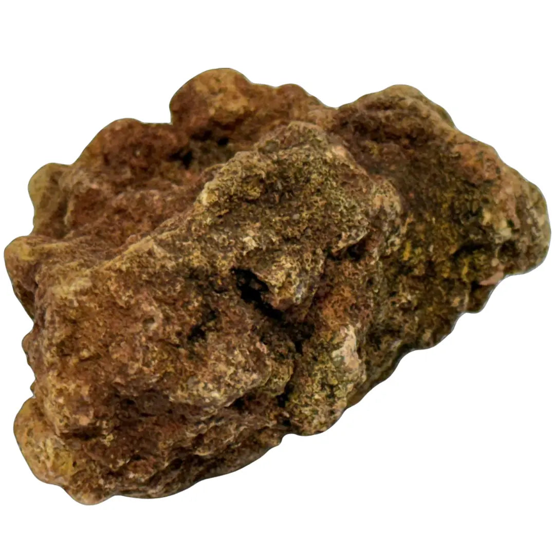 Specimen of richellite, a rare calcium, iron phosphate mineral. It is also identified as a fossilized coprolite (dung), possibly from a turtle or dinosaur. Coin Hub